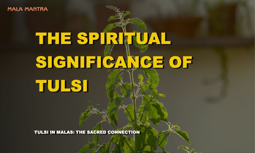 Close-up of a Tulsi plant representing divine purity and devotion.