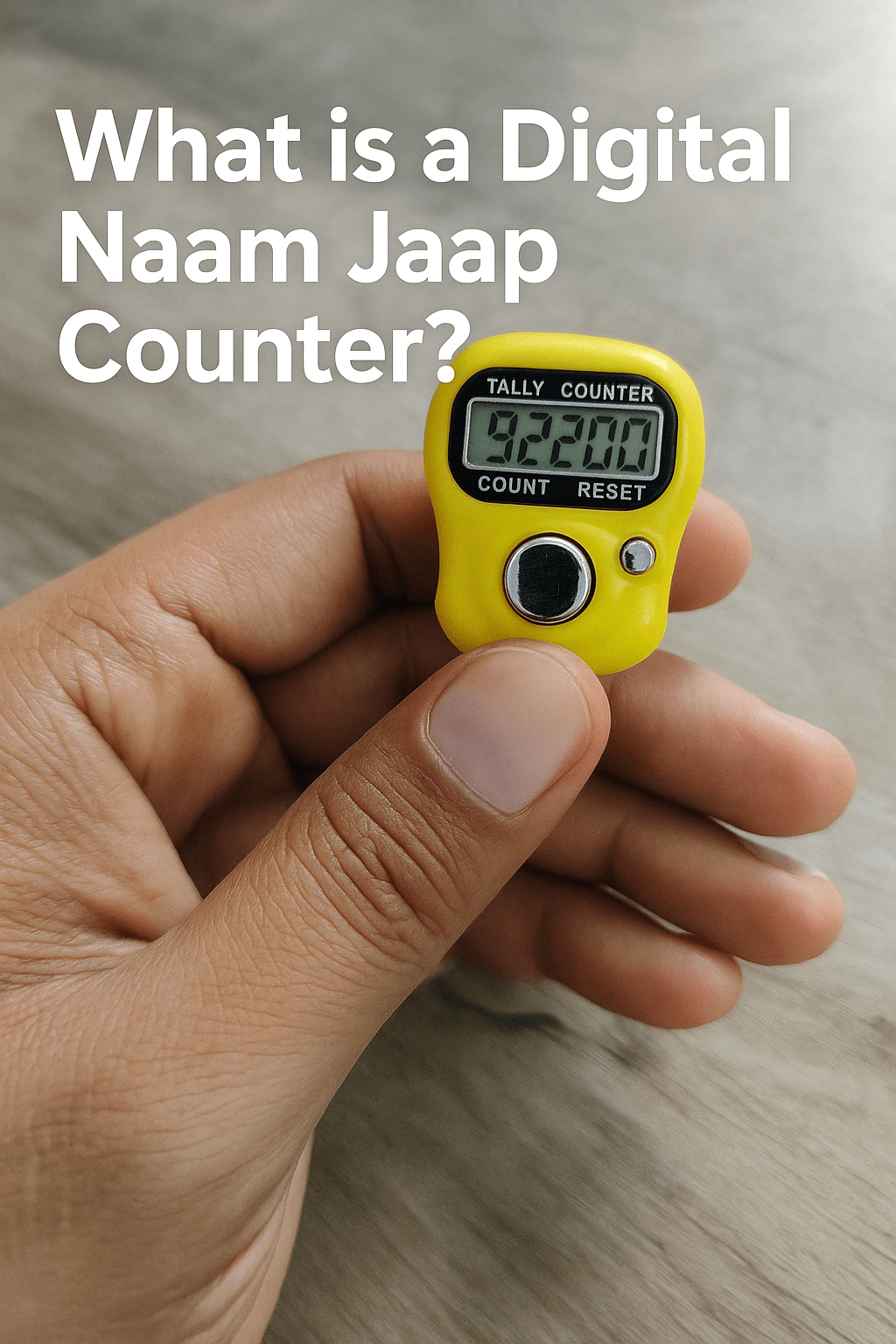 What is a Digital Naam Jaap Counter?