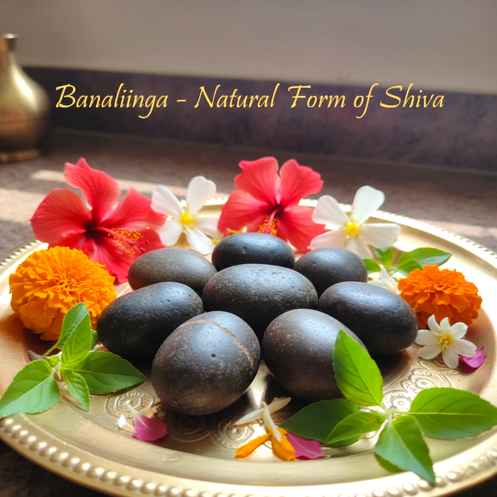 Banalinga Narmada Stone Shivling