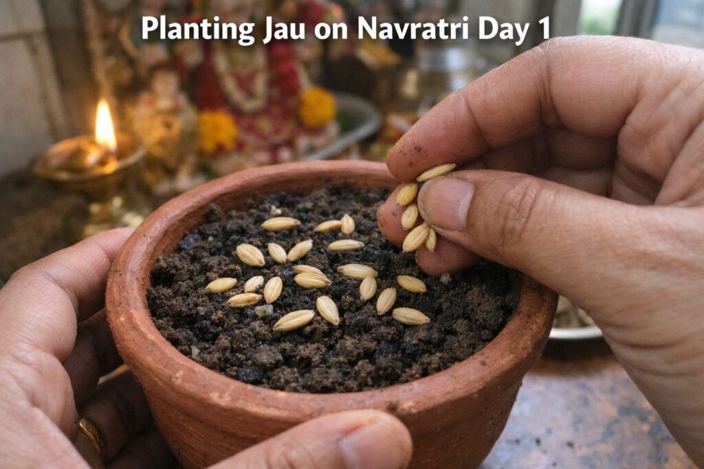 Planting barley seeds in clay pot for Navratri Jawara ritual